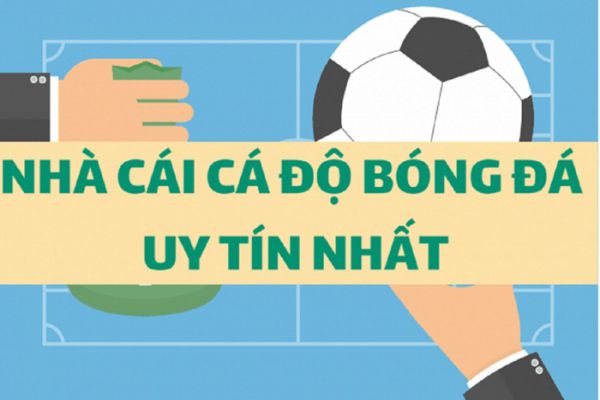 kham-pha-cac-web-ca-do-bong-da-uy-tin-tai-cadobongda.club